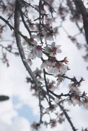 makeup-tips-frantzeska