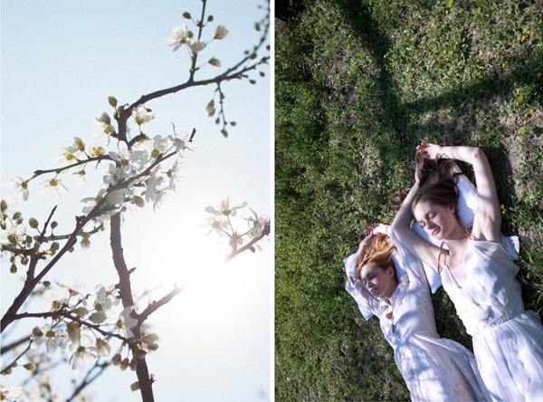 nyfiko-makigiaz-2014