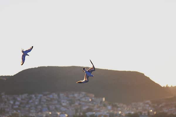 γαμος-σε-νησι (4)