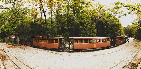 γαμος-σε-βουνο-πηλιο (5)