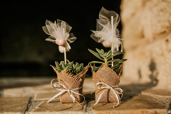 μπομπονερα γαμου με παχυφυτο