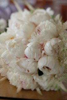 Λευκή νυφική ανθοδέσμη Λευκή νυφική ανθοδέσμη