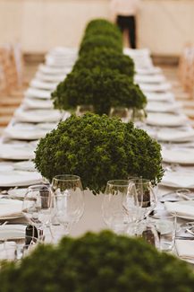 Elegant διακοσμηση τραπεζιου Elegant διακοσμηση τραπεζιου