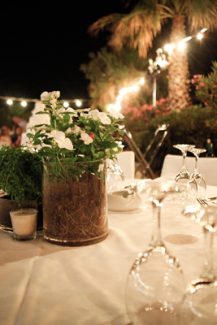 Στολισμος γαμου με φυτα και λουλουδια