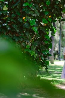 Monsoon φορεματα για τα παρανυφακια