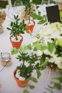 Διακοσμηση τραπεζιου με γλαστρακια