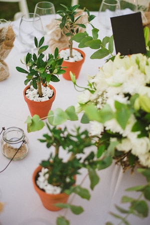 Διακοσμηση τραπεζιου με γλαστρακια