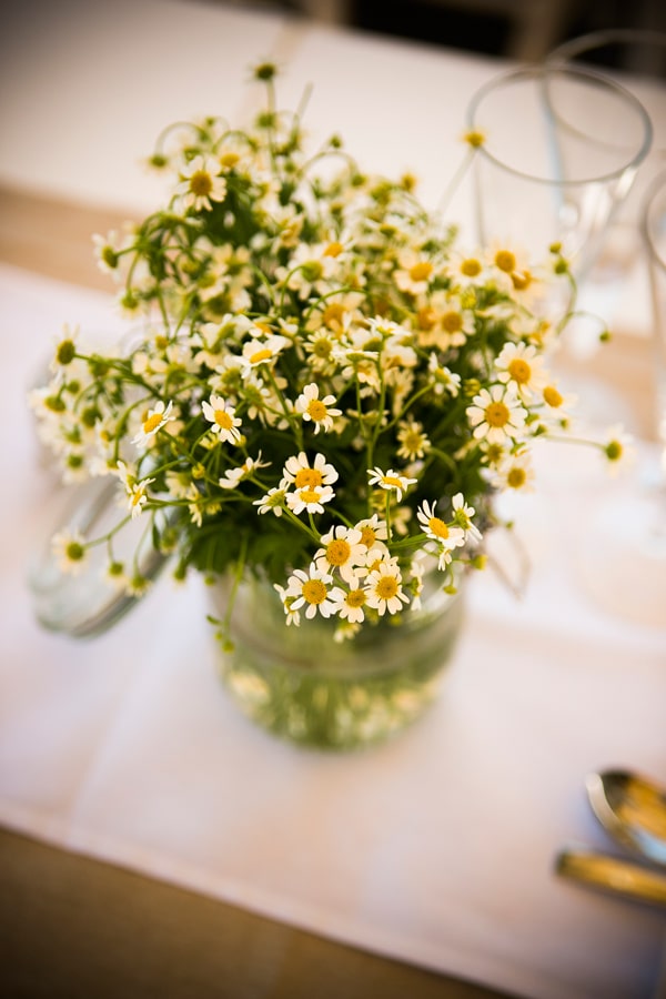 Διακοσμηση τραπεζιου με χαμομηλι