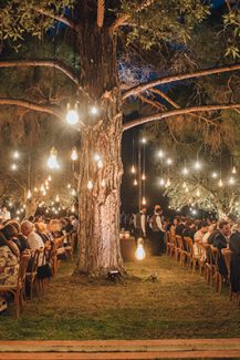 String lights – διακοσμηση δεξιωσης