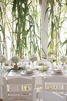 Διακοσμηση τραπεζιου σε λευκο Διακοσμηση τραπεζιου σε λευκο