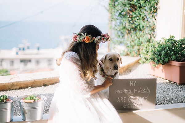 Pets at weddings; How to include them!