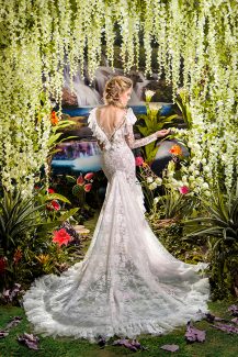 Complice – Stalo Theodorou