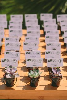 Πρωτοτυπο wedding seating plan με παχυφυτα και τα ονοματα των καλεσμενων