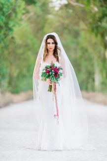 Complice – Stalo Theodorou