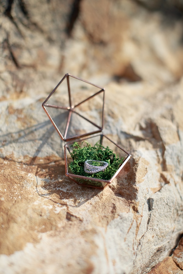 Πρωτοτυπη θηκη για τις βερες σας