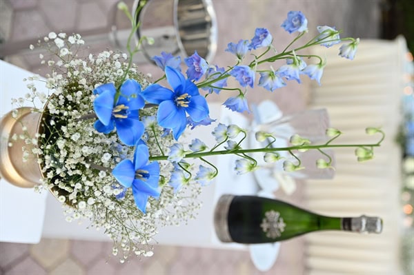 wedding-venues-principal-hall-13