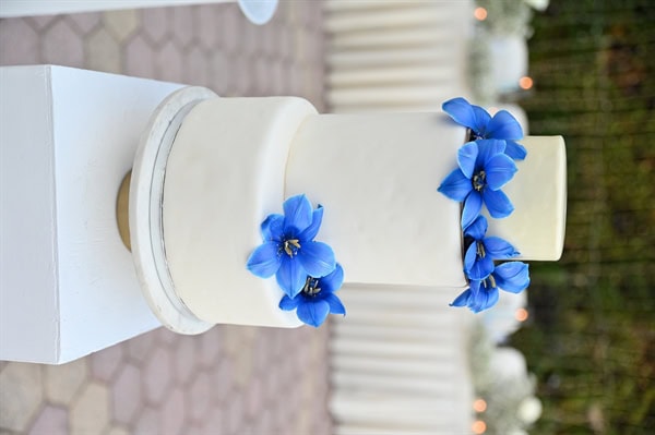 wedding-venues-principal-hall-14