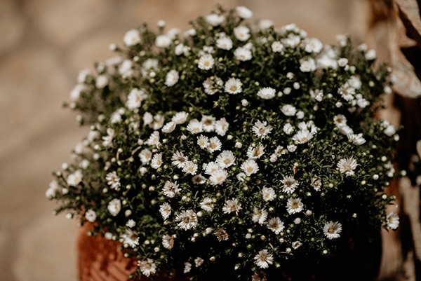 beautiful-prewedding-photoshoot-nature_09x