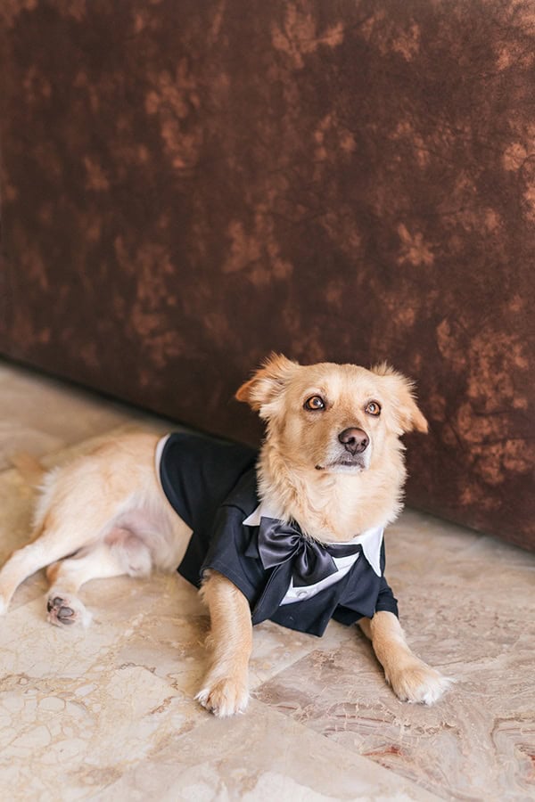 boho-chic-summer-wedding-rustic-details-thessaloniki_06