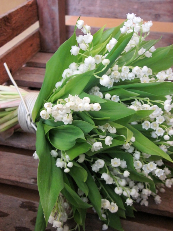 the-most-beautiful-white-bridal-bouquets_11.