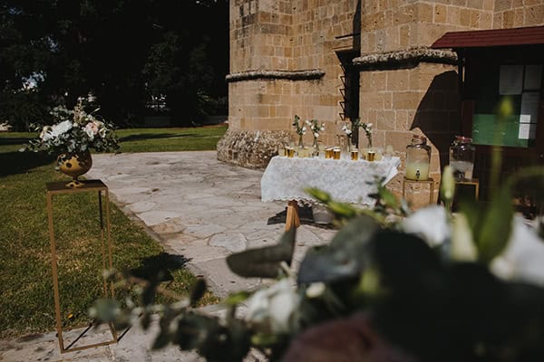 bohemian-fall-wedding-nicosia-pampas-grass-protea_15x