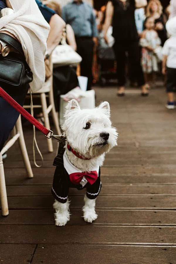 fall-civil-wedding-athens-romantic-details-pink-details_26