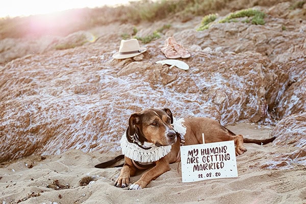 beautiful-prewedding-beach-photoshoot-_07x