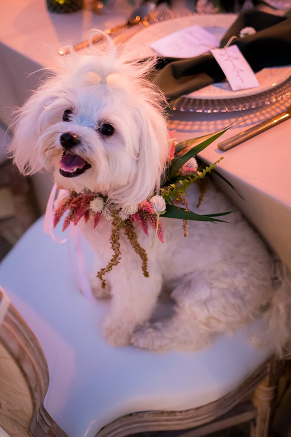 bohemian-civil-wedding-ideas-decoration-_09x