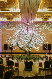 Πρωτότυπος στολισμός δεξίωσης γάμου με illuminated δέντρο