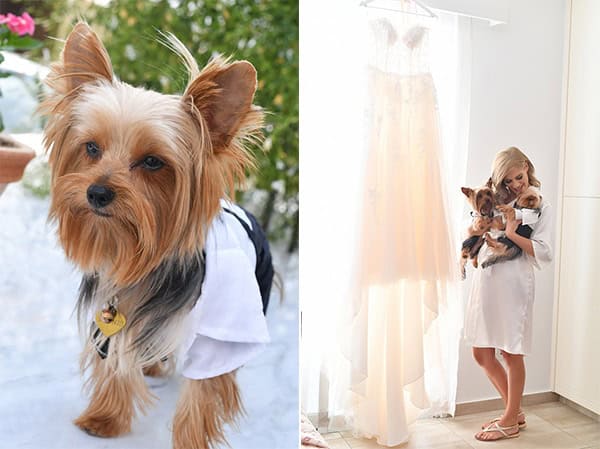 summer-wedding-nicosia-red-roses-lily_05A