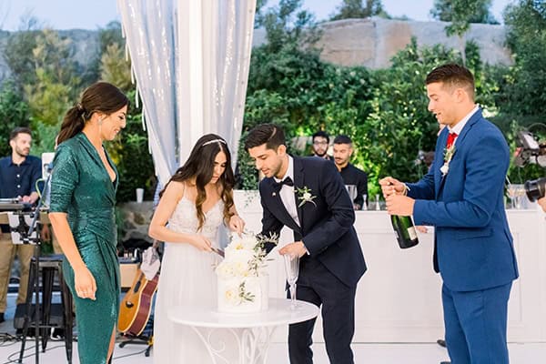 beautiful-summer-wedding-nicosia-olive-leaves-white-roses_26