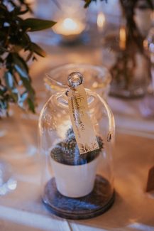 Μπομπονιέρες – κακτάκια σε γυάλινο δοχείο και ξύλινη βάση