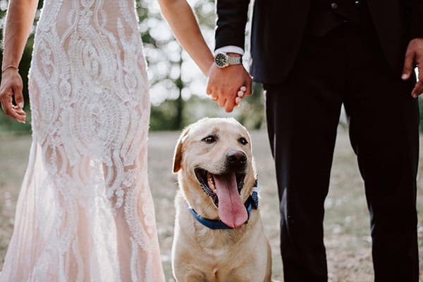 vintage-wedding-orestiada-roses-pastel-colours_32