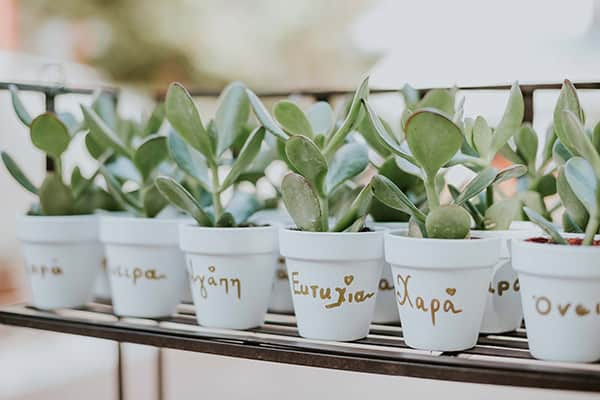 beautiful-summer-wedding-thessaloniki-calla-lillies-rustic-details_06