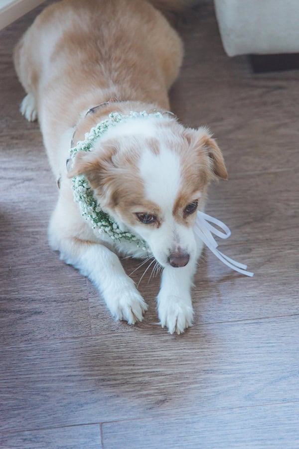 elegant-summer-wedding-hydrangeas-roses-tones-white-pink_06x