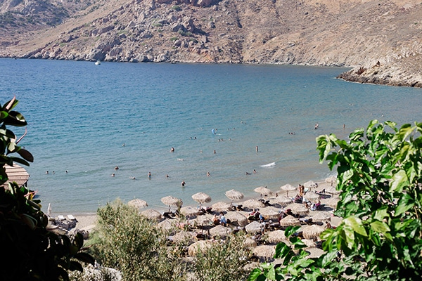 romantic-summer-wedding-mani-white-roses-olive-leaves_04