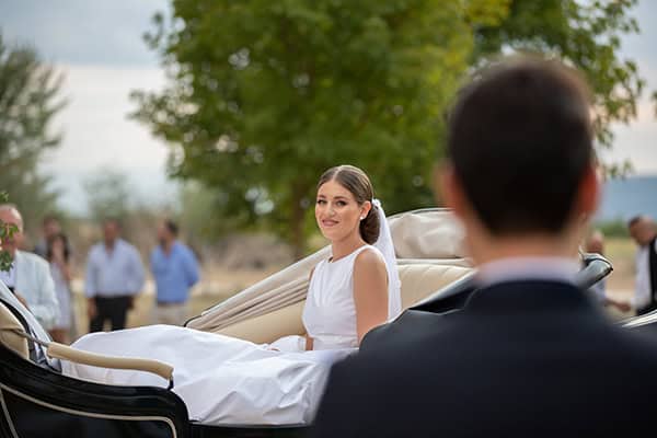 fairytale-wedding-trikala-white-pink-roses_10