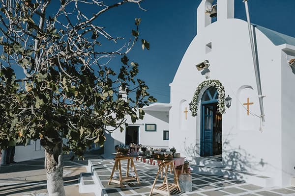 island-wedding-serifos-island-white-dried-cobs-flowers_12