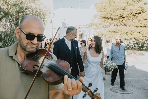 island-wedding-serifos-island-white-dried-cobs-flowers_18