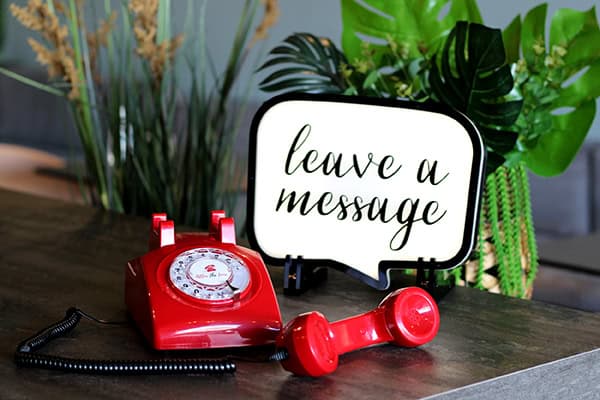 unique-idea-wedding-party-audio-guest-book_01