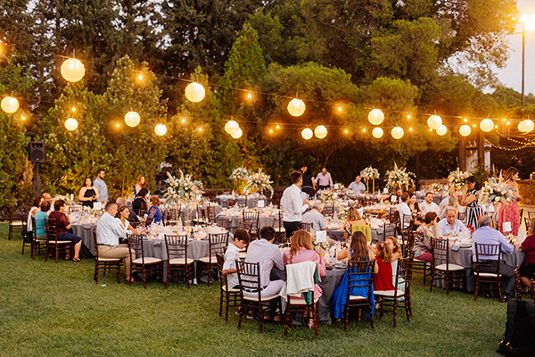 bohemian-summer-wedding-athens-pampas-grass_23x
