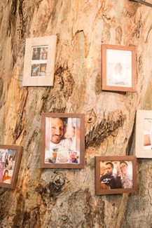 Πρωτότυπη ιδέα με κορνίζες στο δέντρο