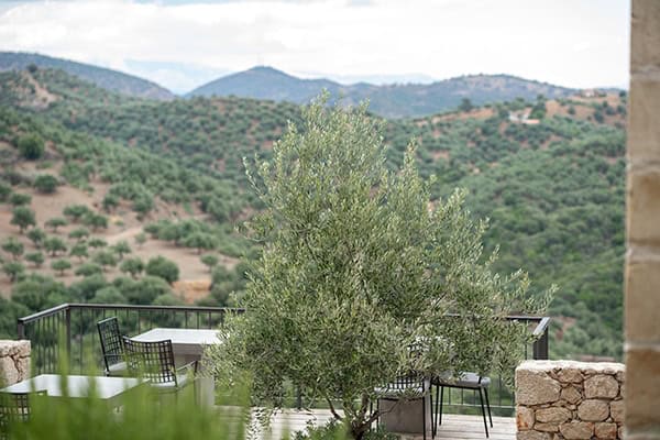 live-most-beautiful-day-of-your-life-alistos-hotel_03