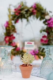 Υπέροχες μπομπονιέρες με παχύφυτα σε πήλινα γλαστράκια