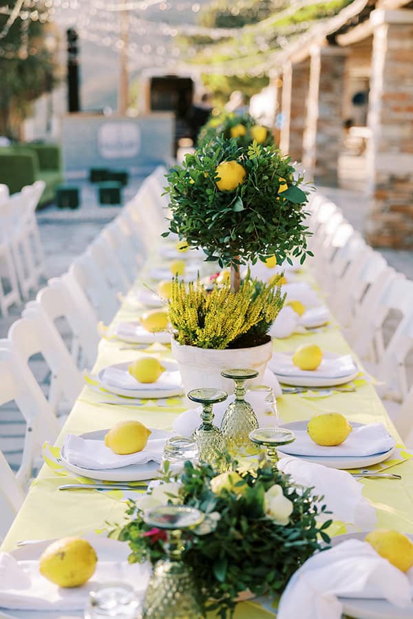 citrus-inspired-wedding-tinos-island-greenery-yellow-callas_26