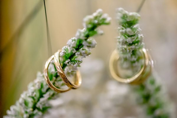 beautiful-summer-wedding-romantic-white-blooms_05x