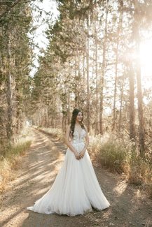 Complice – Stalo Theodorou