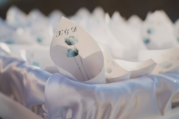 modern-wedding-ktima-xatzi-blue-hyndrangeas-red-peonies_09x