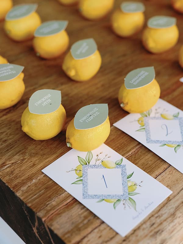 lovely-fall-wedding-litochoro-hydrangeas-mediterranean-spirit_39