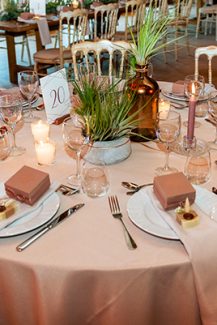 Διακόσμηση τραπεζιών δεξίωσης με air plants